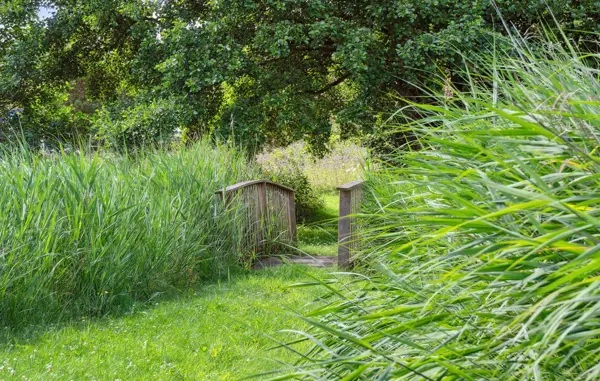 Bild 15 von 21