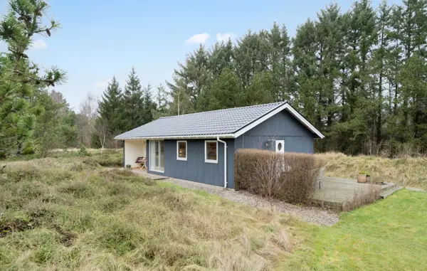 Ferienhaus C01622 in Lodbjerg Hede / Holmsland Klit