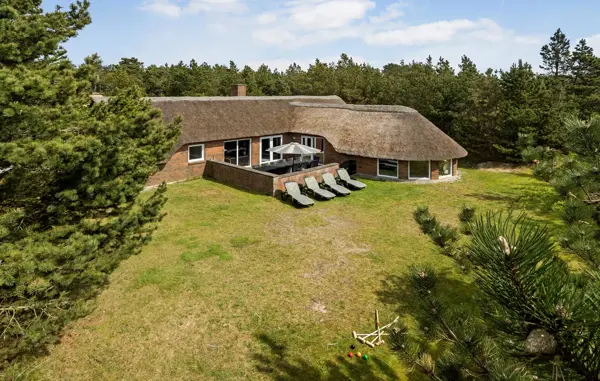 Ferienhaus C17573 in Klegod / Holmsland Klit