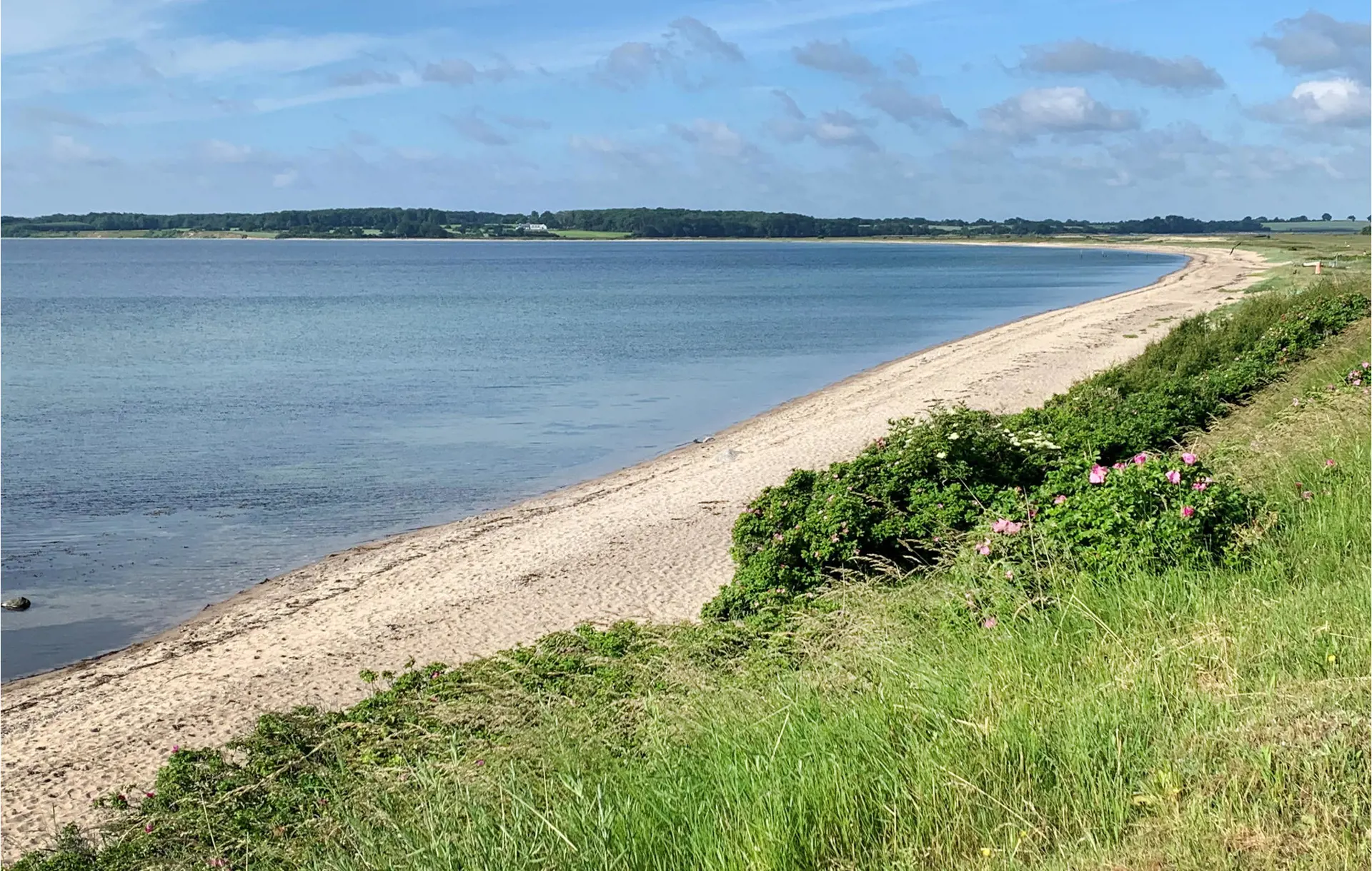 Bild 29 von 29