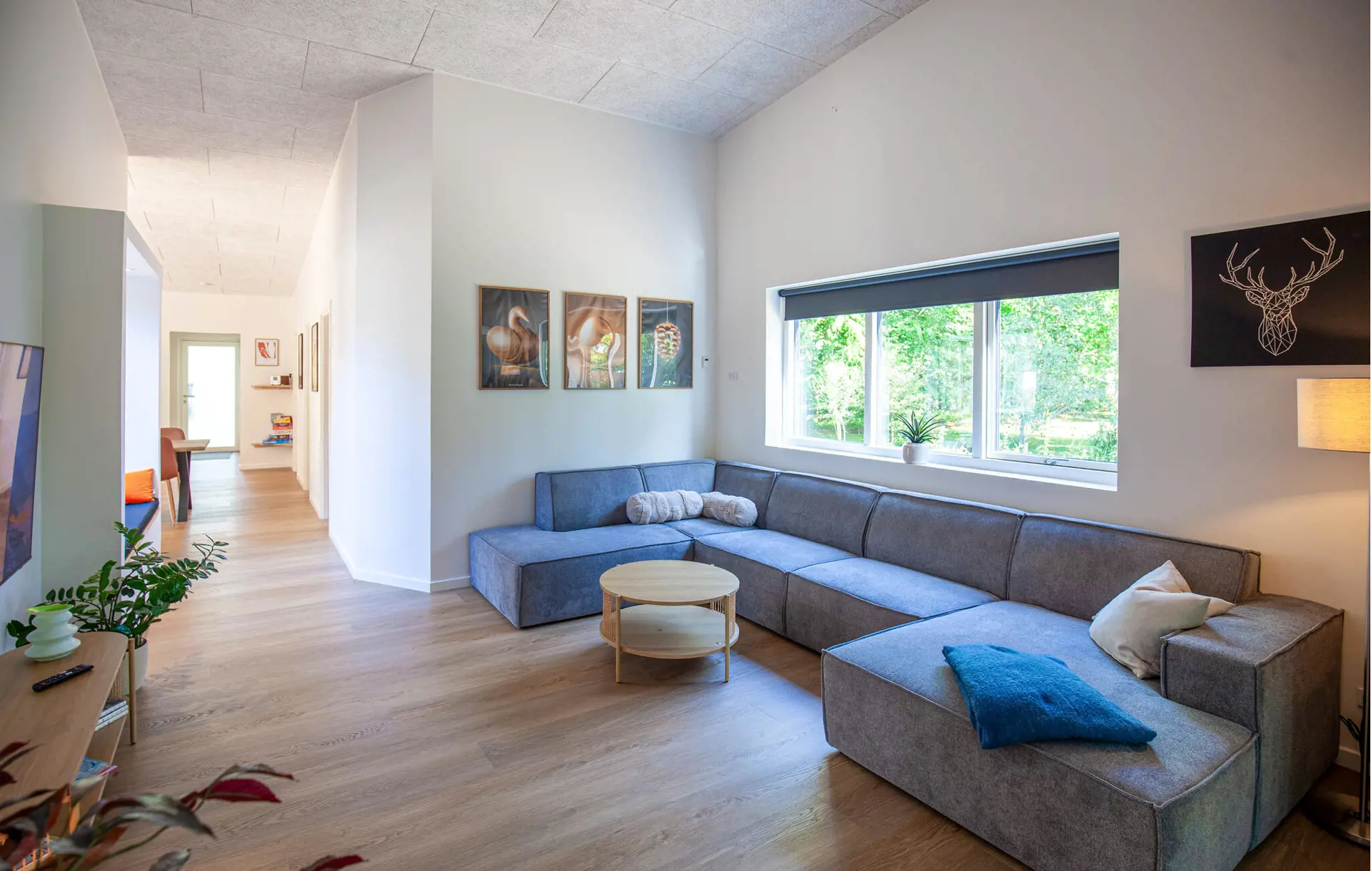 Ferienhaus D01013 in Birkestien 13, Ahl | Bild 17 von 32