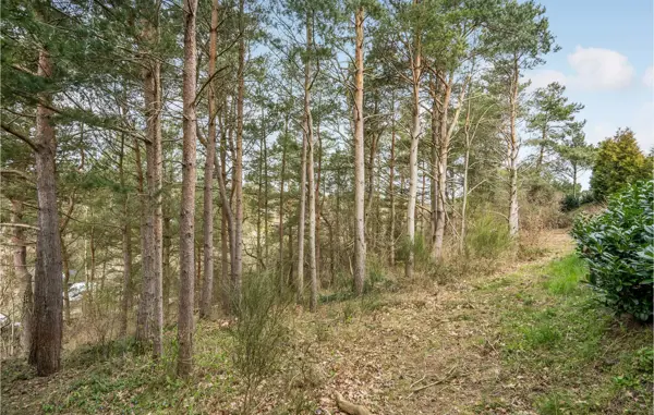 Bild 31 von 35
