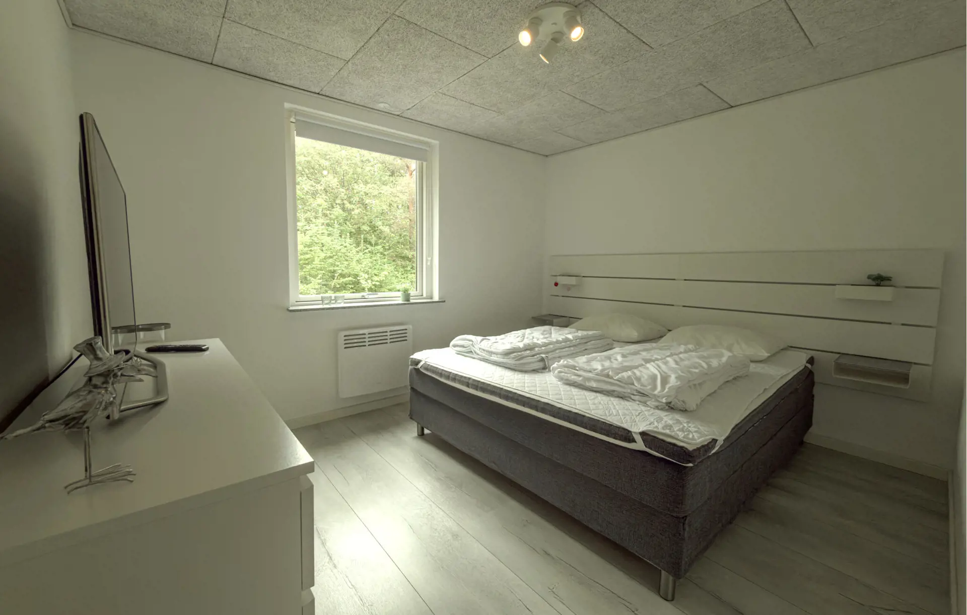 Bild 15 von 19