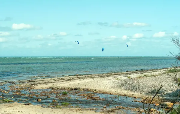 Bild 29 von 31