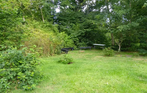 Bild 12 von 17