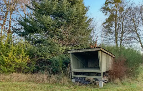 Bild 13 von 34