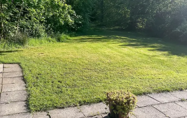 Bild 5 von 17