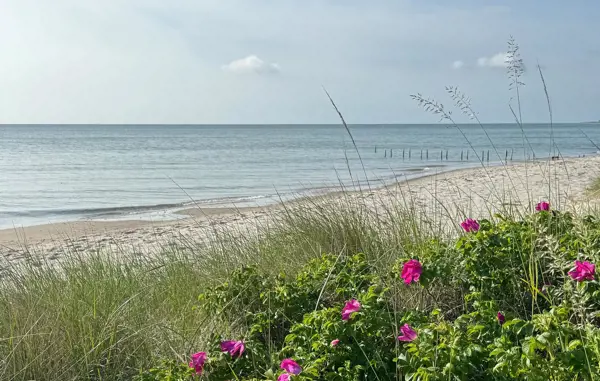 Bild 18 von 20