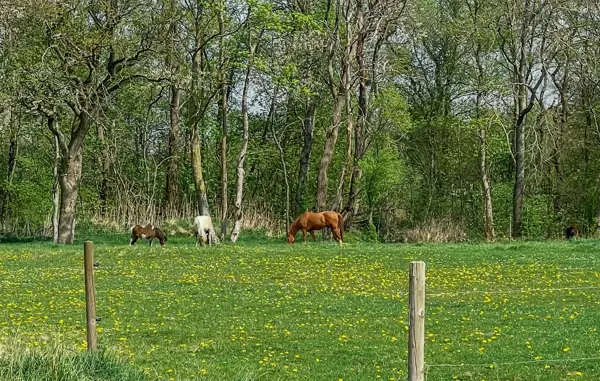 Bild 15 von 15