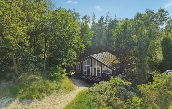 Ferienhaus D89071 in Hvidbjerg Strand / Südjütland