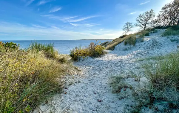 Bild 35 von 36