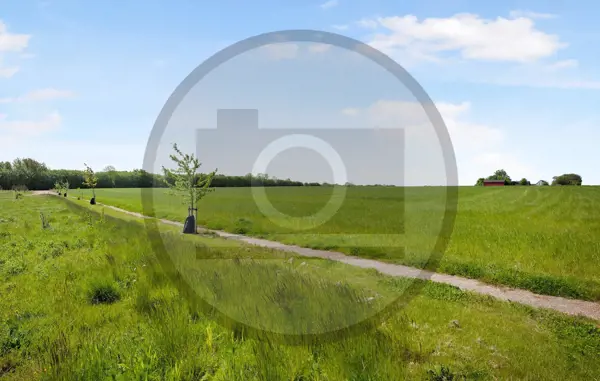 Bild 19 von 32