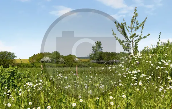 Bild 20 von 32