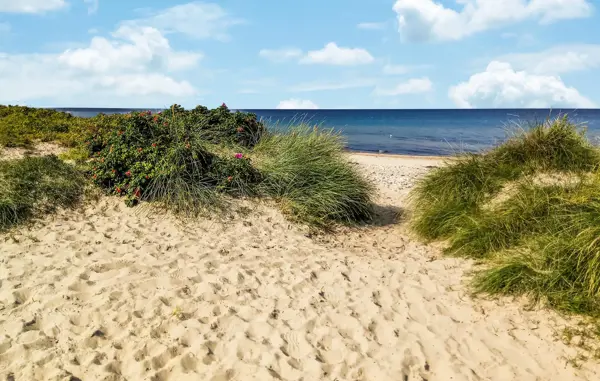 Bild 19 von 19