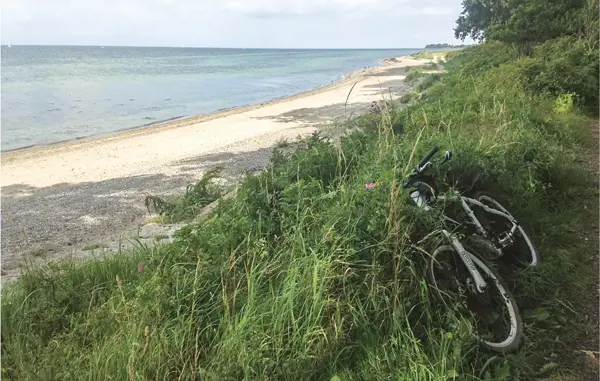 Bild 29 von 29