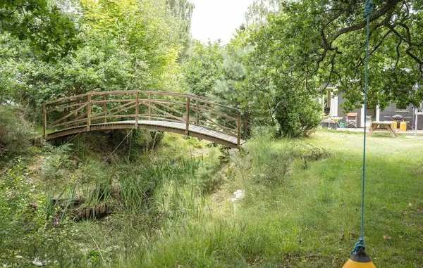 Bild 2 von 21