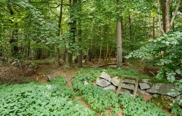 Bild 20 von 25