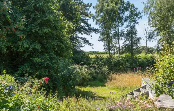 Bild 18 von 29
