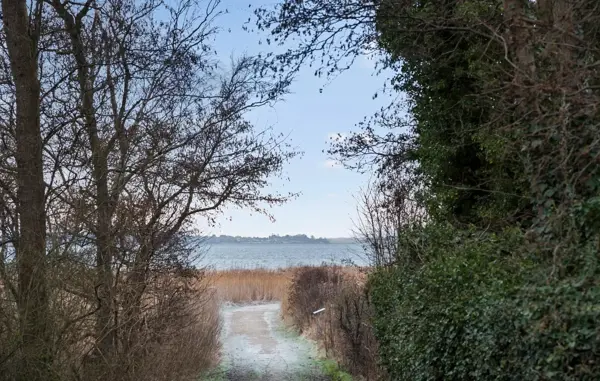 Bild 2 von 17