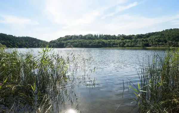 Bild 17 von 17