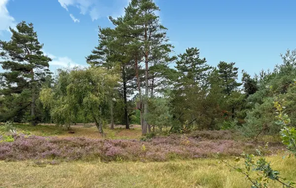Ferienhaus E18009 in Hejrevang 9, Sejerø Bucht | Bild 10 von 17