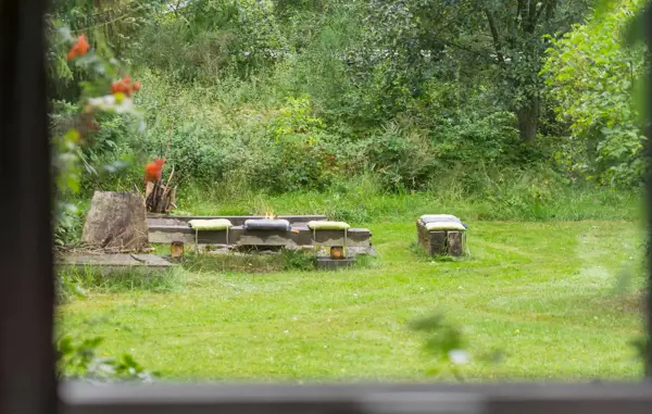 Bild 12 von 19