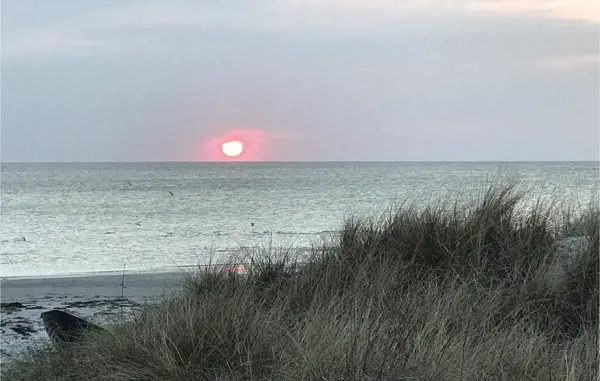 Bild 40 von 40