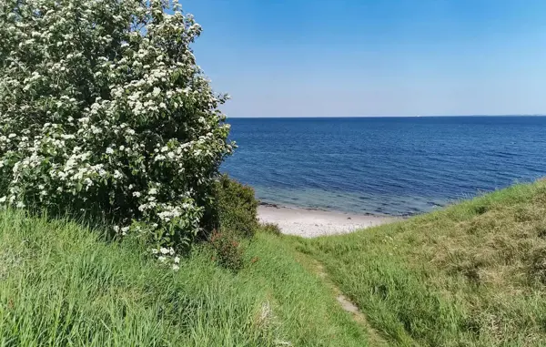 Bild 2 von 22