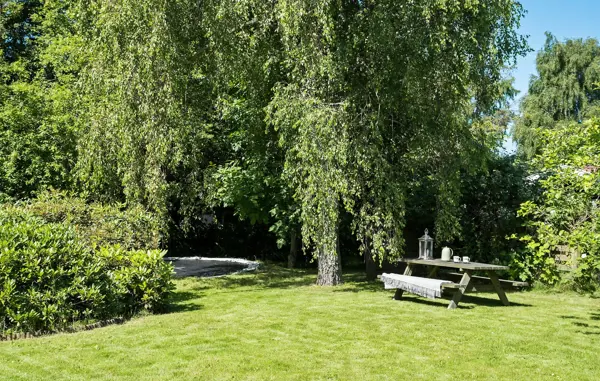 Bild 8 von 11