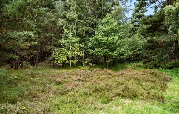 Bild 15 von 36