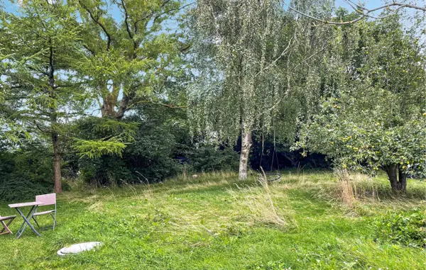 Bild 8 von 14