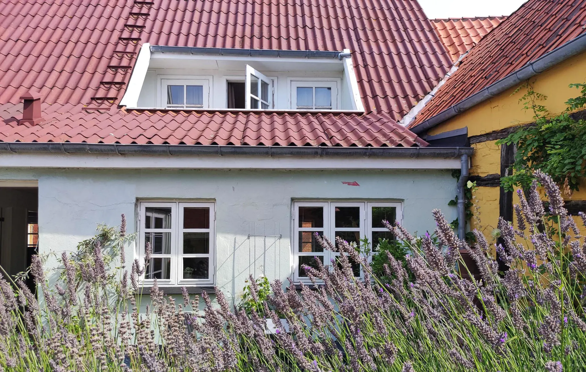 Bild 7 von 10