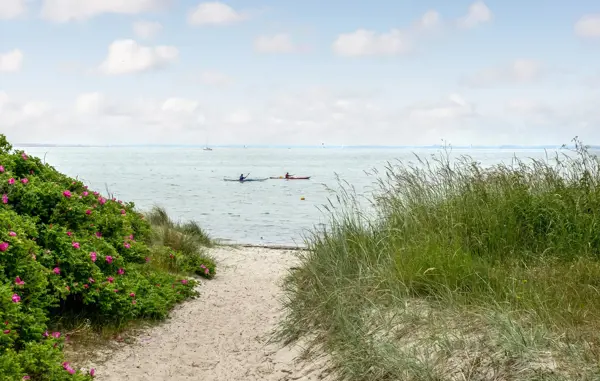 Bild 16 von 21