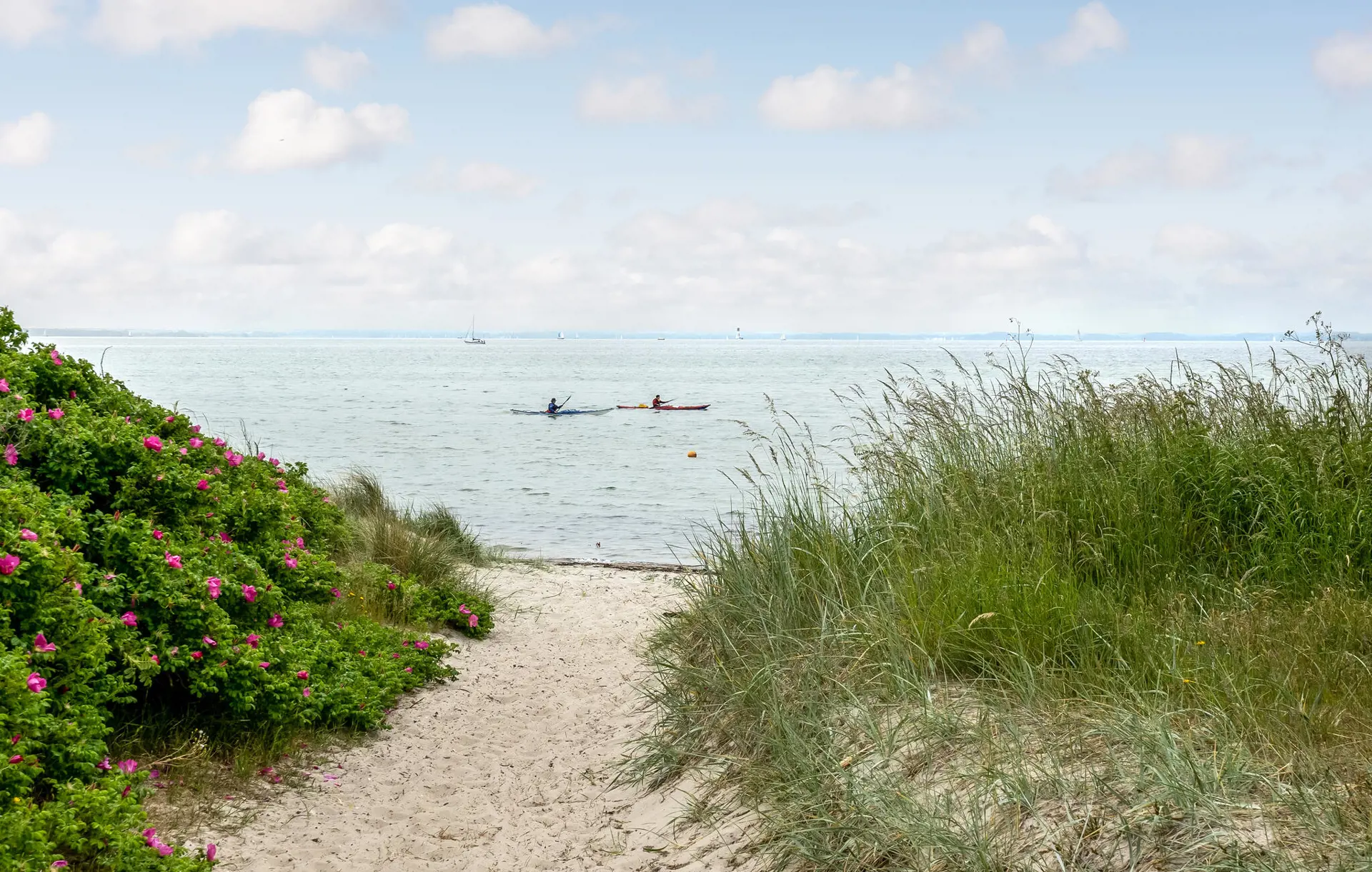 Bild 17 von 21
