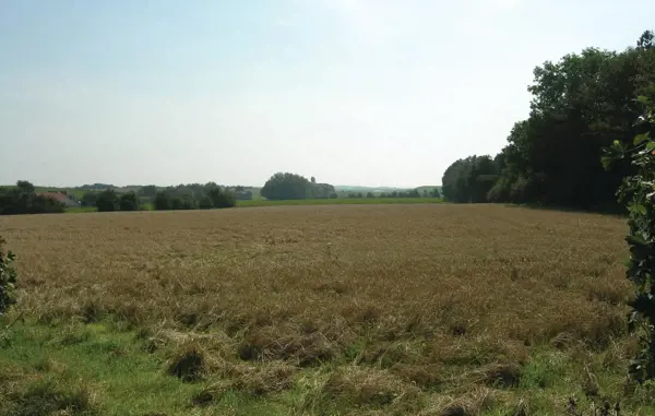 Bild 9 von 24