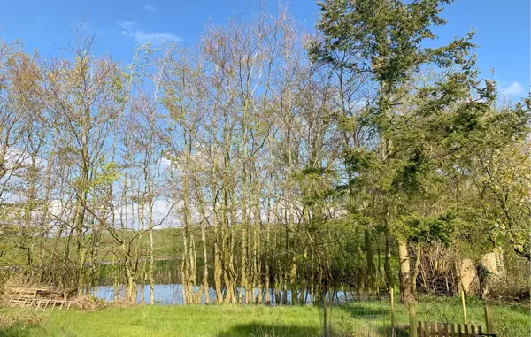 Bild 14 von 26