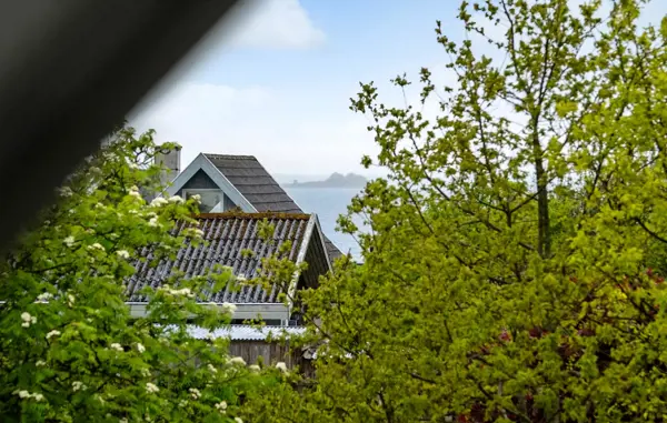 Bild 2 von 17