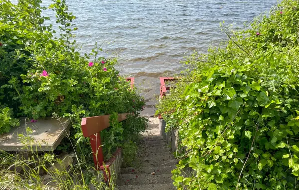 Bild 12 von 17