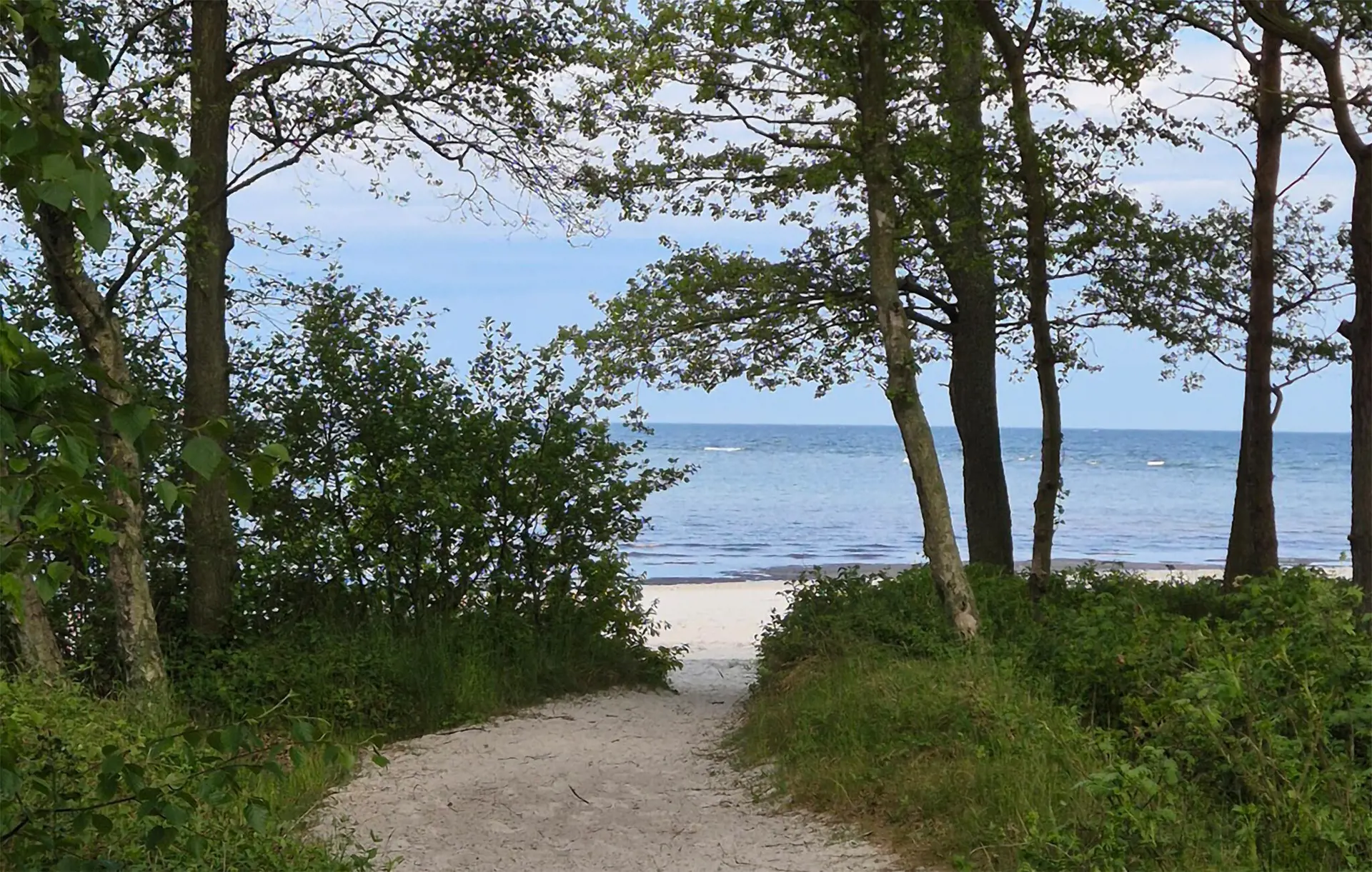 Bild 30 von 33