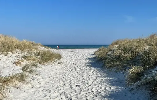 Bild 18 von 20