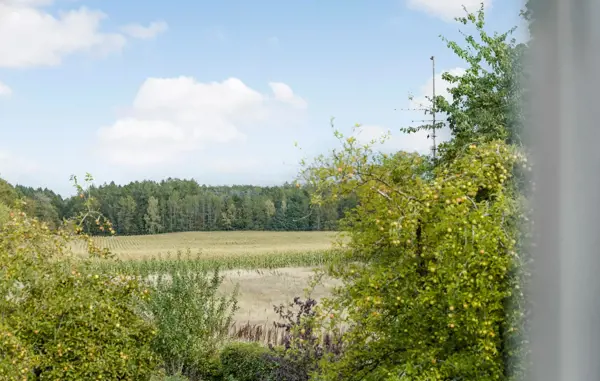 Bild 17 von 25