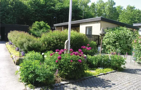 Bild 5 von 11