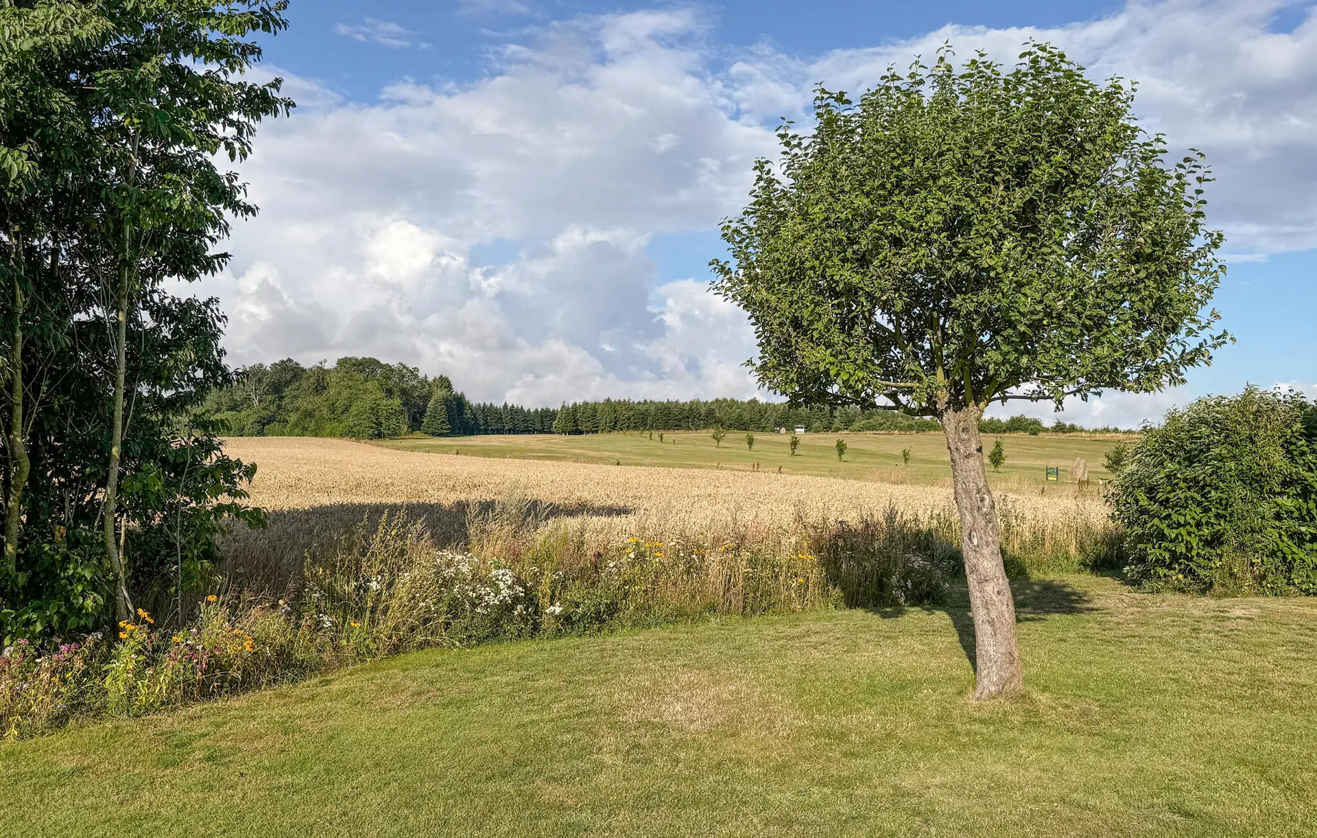 Bild 15 von 34