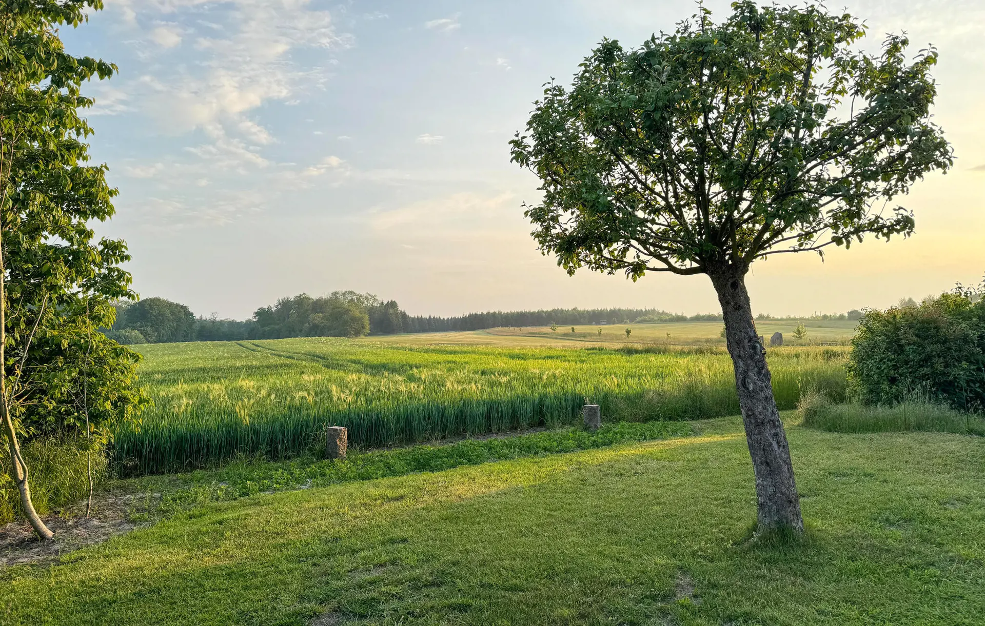 Bild 16 von 34