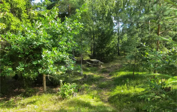 Bild 9 von 19