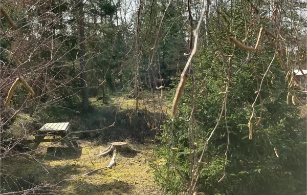 Bild 13 von 19