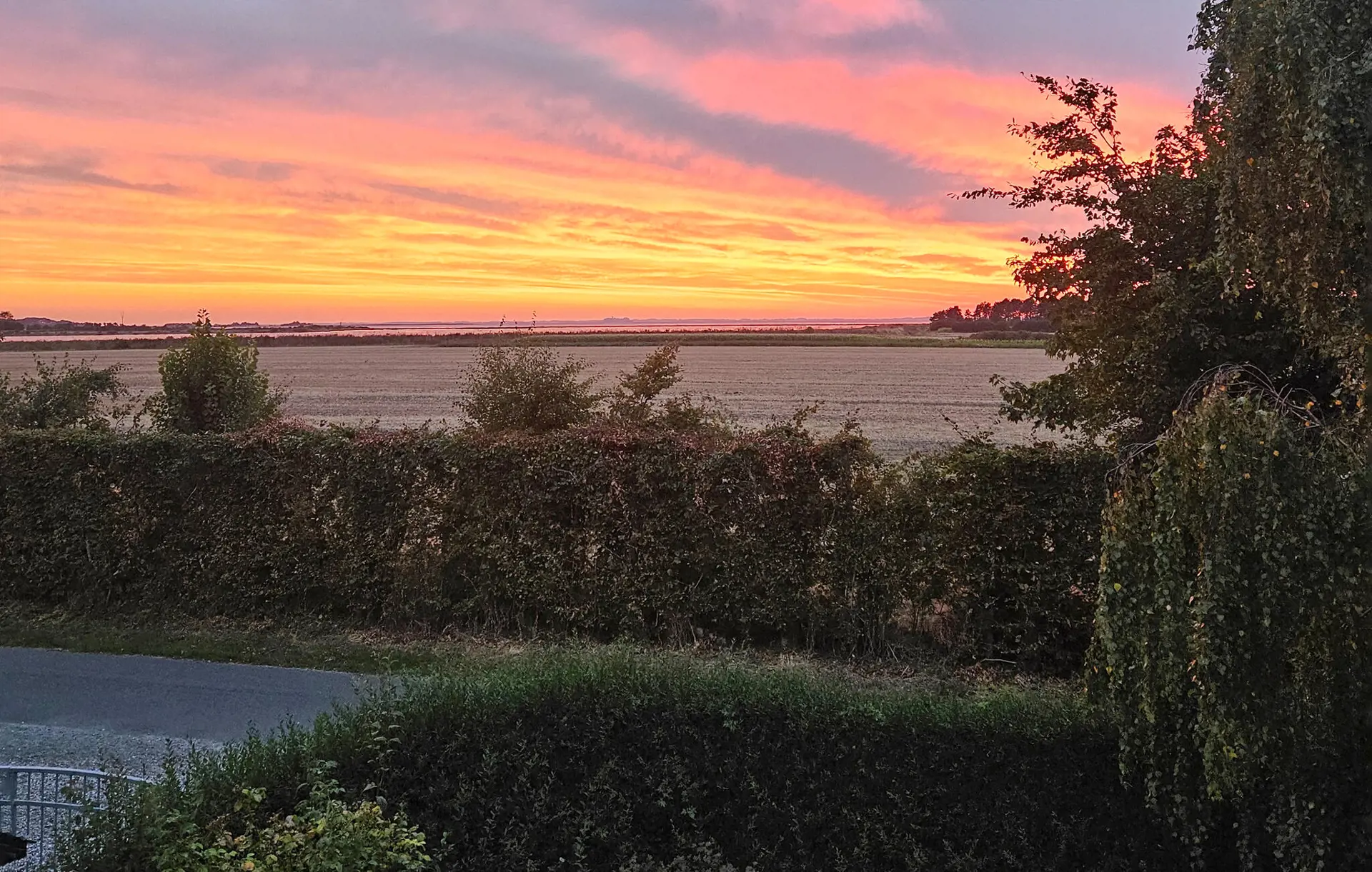 Bild 18 von 26