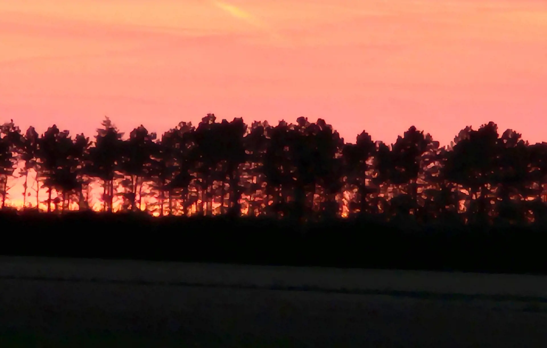 Bild 19 von 26