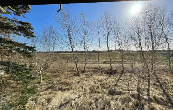Bild 12 von 18