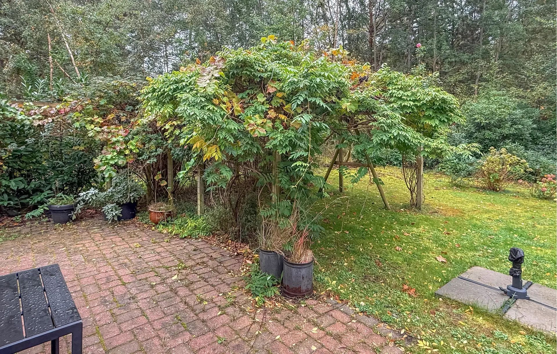Ferienhaus K30118 in Taksvej 18, Ulvshale Skov | Bild 8 von 24